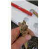 Image 5 : Hilti 37" Drill Bit.Cat C