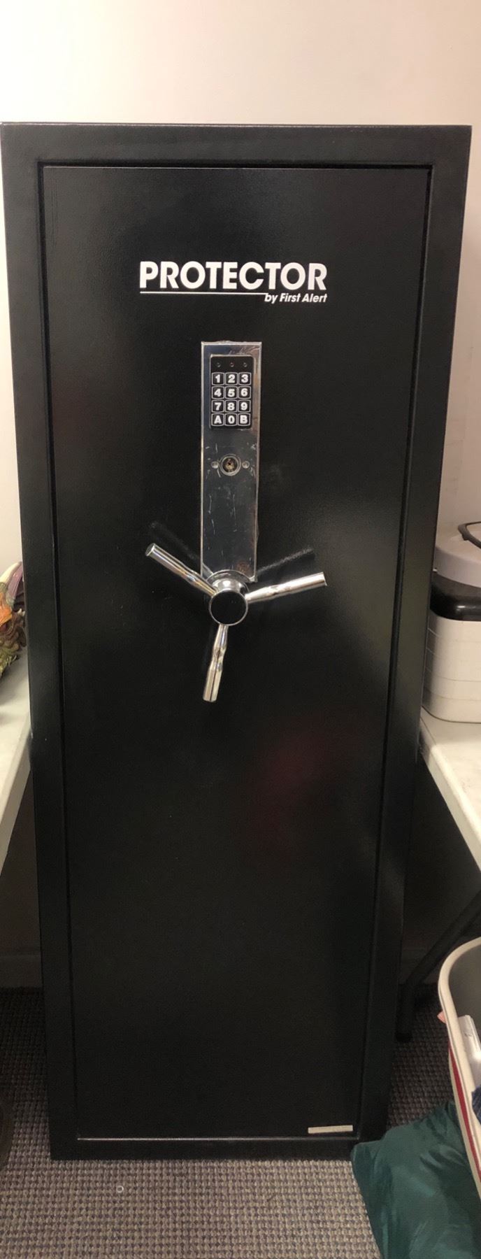 Protector Safe Protector by First Alert gun safe - approx. 21in wide x 18 1/2in depth ...