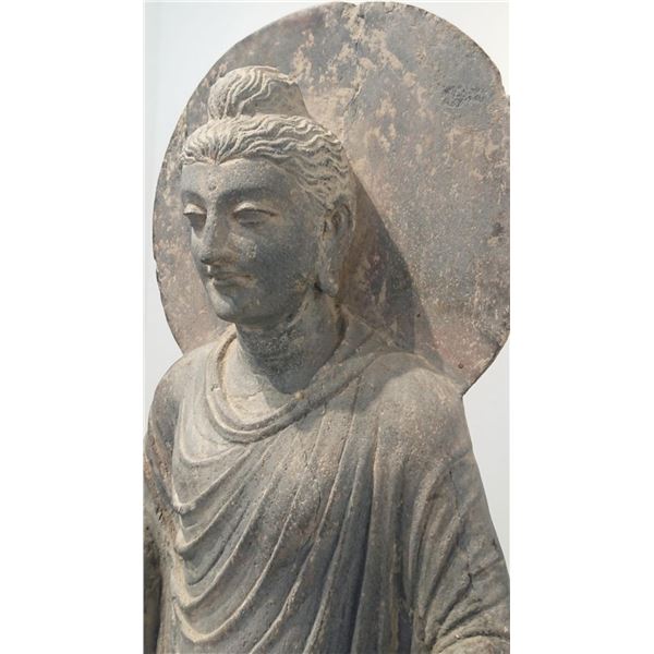 3rd Century Antique Gandhara Buddha (Rare Art )