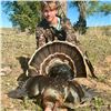 Image 5 : 2-Day/3-Night Texas Rio Grande Turkey Hunt for 1 Hunter