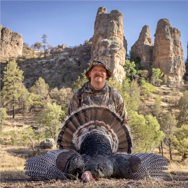3-Day Gould's Turkey Hunt for 1 Hunter in Mexico