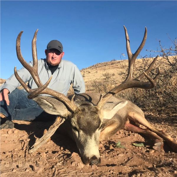 5-Day Desert Mule Deer Hunt for 1 Hunter in Mexico