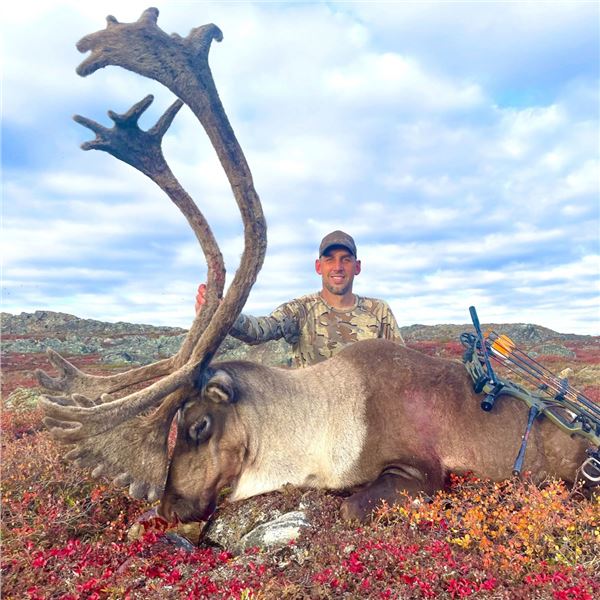 6-Day Central Canadian Barren Ground Caribou Hunt for 1 Hunter