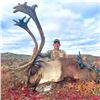 Image 1 : 6-Day Central Canadian Barren Ground Caribou Hunt for 1 Hunter