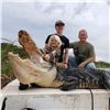 Image 1 : Florida Aligator and Hog Hunt for 1 Hunter