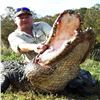 Image 6 : Florida Aligator and Hog Hunt for 1 Hunter