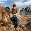 Image 8 : Florida Aligator and Hog Hunt for 1 Hunter