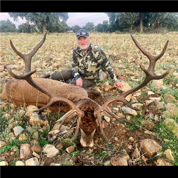 Red Stag Hunt in Spain