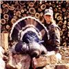 Image 1 : 3-1/2 Day Gould's Turkey Hunt for 1 Hunter in Mexico