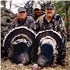 Image 4 : 3-1/2 Day Gould's Turkey Hunt for 1 Hunter in Mexico