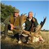 Image 2 : Hunter's Choice Hunt in Spain