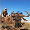 Image 1 : 8-Day African Safari for 2 Hunters and 2 Observers with Golden Wildebeest, Black Impala, and Black S