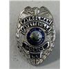Image 1 : VINTAGE OBSOLETE POLICE BADGE