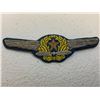 Image 1 : WWII IMPERIAL JAPAN JAPANESE ARMY PILOT WINGS