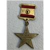 Image 2 : USSR HERO OF LABOR OF THE SOVIET UNION MEDAL WEARERS COPY