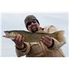 Image 1 : 1 day (or limit) Fishing trip for 3 - Walleye, Smallmouth Bass, Perch, or Bluegill