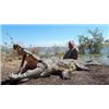 Image 3 : 5-night/4-hunting day safari for 1 hunter and 1 observer for 1 crocodile