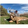 Image 2 : 6-Day Iowa Whitetail Hunt for 1 Hunter