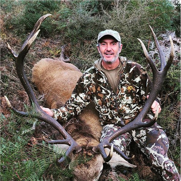 3 Days/3 Nights free-range wild Stag hunt for 1 Hunter and 1 non-hunter in New Zealand