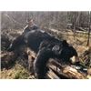 Image 2 : 10-Day Adventure - 5-day Black Bear Hunt and 5-day Fishing for 1 Hunter
