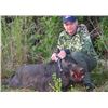 Image 4 : 1.5 Day Wild Hog Hunt for up to 4 Hunters