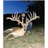 Image 1 : 3-Day Whitetail Deer Hunt for 1 Hunter and 1 Non Hunter.  Hunt is for the biggest buck on the proper