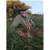 Image 1 : 7-day Scotland Roe Buck (2 Bucks) for 1 hunter (1x1)