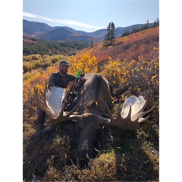 11-Day Yukon Moose Hunt