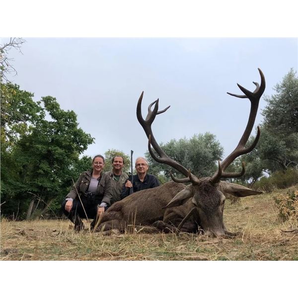 6-Day Hunt for 1 hunter and 1 Observer in Spain,  including trophy fee for 1 Animal