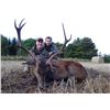 Image 1 : 7-day Scotland Red Stag (1 Hill Stag) for 1 hunter