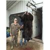 Image 3 : 5-Day Black Bear Hunt in Minnesota for 1 hunter