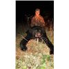 Image 4 : 5-Day Black Bear Hunt in Minnesota for 1 hunter