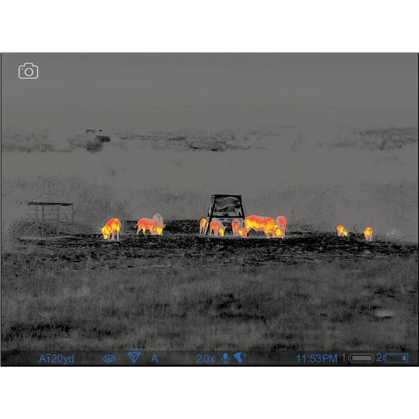 3-day/2-night thermal hog hunt for 4 hunters