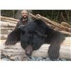 Image 2 : 7-day/8-night Alaska Black Bear Hunt and Fishing Trip for 2 people