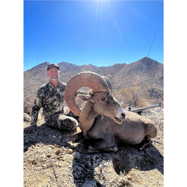 6-Day hunt for 1 Hunter for an Estate Desert Bighorn Sheep in Chihuahua Mexico for a 170 class ram