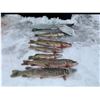 Image 3 : N. Dakota Pike Spearing for 2 Anglers, 3-days/3-nights all-inclusive adventure