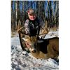 Image 2 : Alberta Trophy Whitetail Deer Hunt Raffle