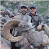 Image 1 : 10-DAY SONORA DESERT SHEEP - SIERRA El ALAMO ALCAMPO HUNTING ADVENTURES