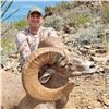 Image 2 : 10-DAY SONORA DESERT SHEEP - SIERRA El ALAMO ALCAMPO HUNTING ADVENTURES