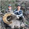 Image 3 : 10-DAY SONORA DESERT SHEEP - SIERRA El ALAMO ALCAMPO HUNTING ADVENTURES