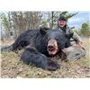 Image 1 : 2024 Spring Black Bear hunt with Sherwood Outfitters