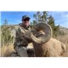 Image 2 : 2024 NORTH DAKOTA ROCKY MOUNTAIN BIGHORN SHEEP LICENSE North Dakota Game & Fish Department