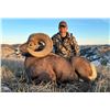 Image 3 : 2024 NORTH DAKOTA ROCKY MOUNTAIN BIGHORN SHEEP LICENSE North Dakota Game & Fish Department
