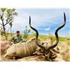 Image 1 : 10 Day Kudu Hunt for Two hunters Bosveld Jacobs Safaris