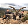Image 1 : Five Days of Hunting Spain for Two Hunters & Two Non-Hunters Wild hunting Spain