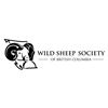 Image 1 : Wild Sheep Society of British Columbia Life Membership