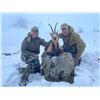 Image 1 : 3 - DAY PYRENEAN CHAMOIS & RED STAG  HUNT FOR 1 HUNTER AND 1 NON-HUNTER