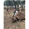 Image 2 : 3 - DAY PYRENEAN CHAMOIS & RED STAG  HUNT FOR 1 HUNTER AND 1 NON-HUNTER