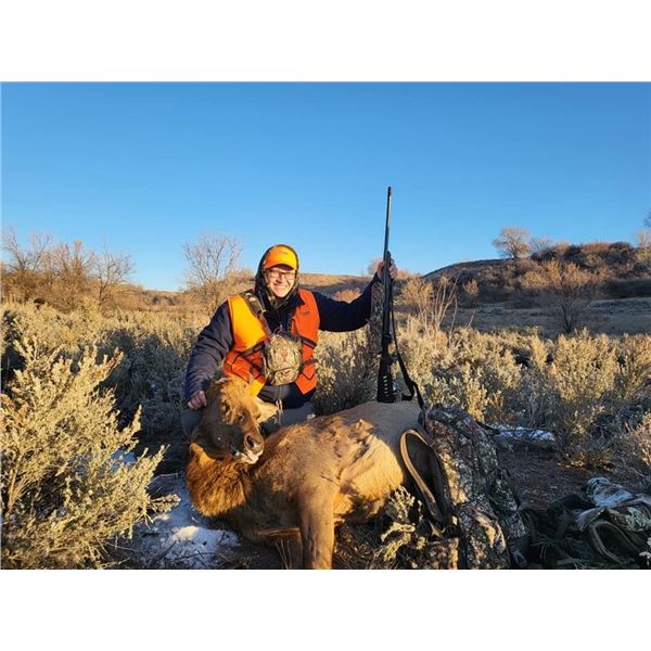 2024 Cow Elk Hunt for 2 Hunters in Utah  Lickity Split Outfitters