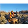Image 1 : 2024 Cow Elk Hunt for 2 Hunters in Utah  Lickity Split Outfitters